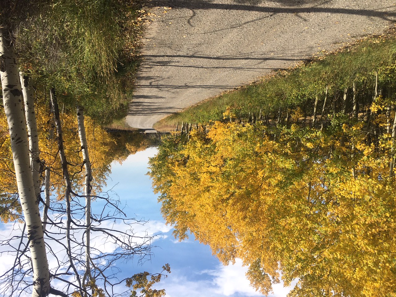 Windymere Ranch, Alberta, Canada